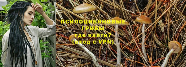 синтетический гашиш Козельск