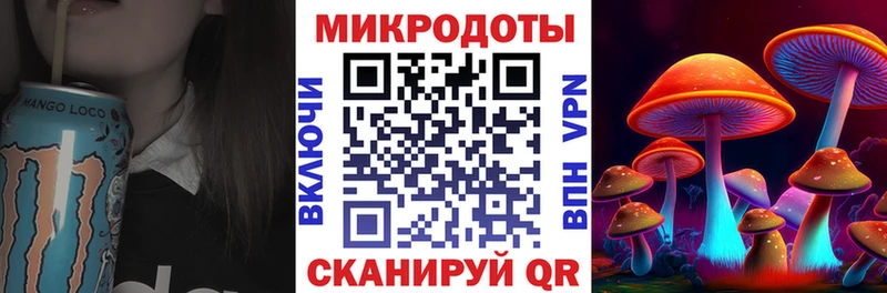 Псилоцибиновые грибы Psilocybine cubensis  Купить где  Обоянь 